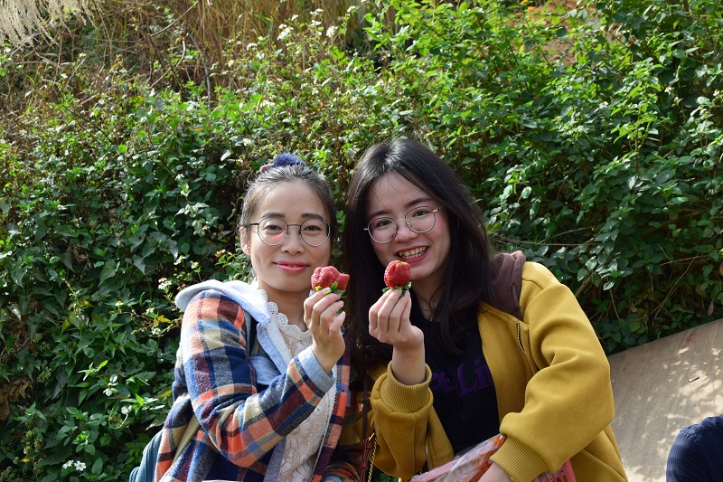 &#20061;&#28216;&#23089;&#20048;